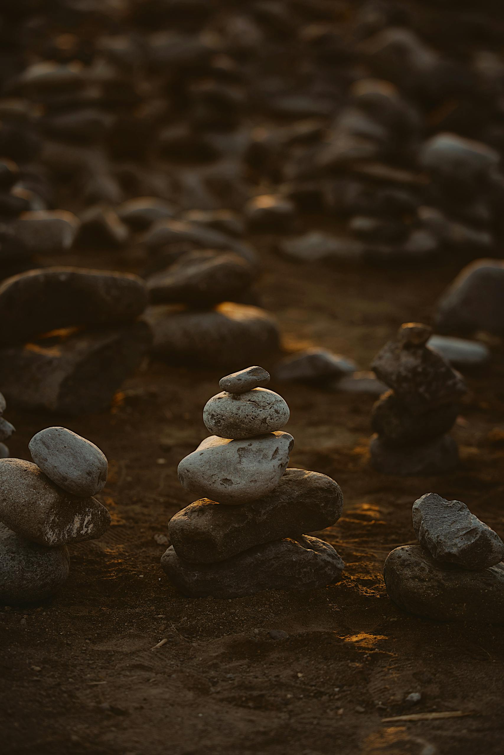Edited in Tezza with: AGAVE, Brightness, Contrast, Fade, Shadows, Highlights, Temperature, & Sharpen