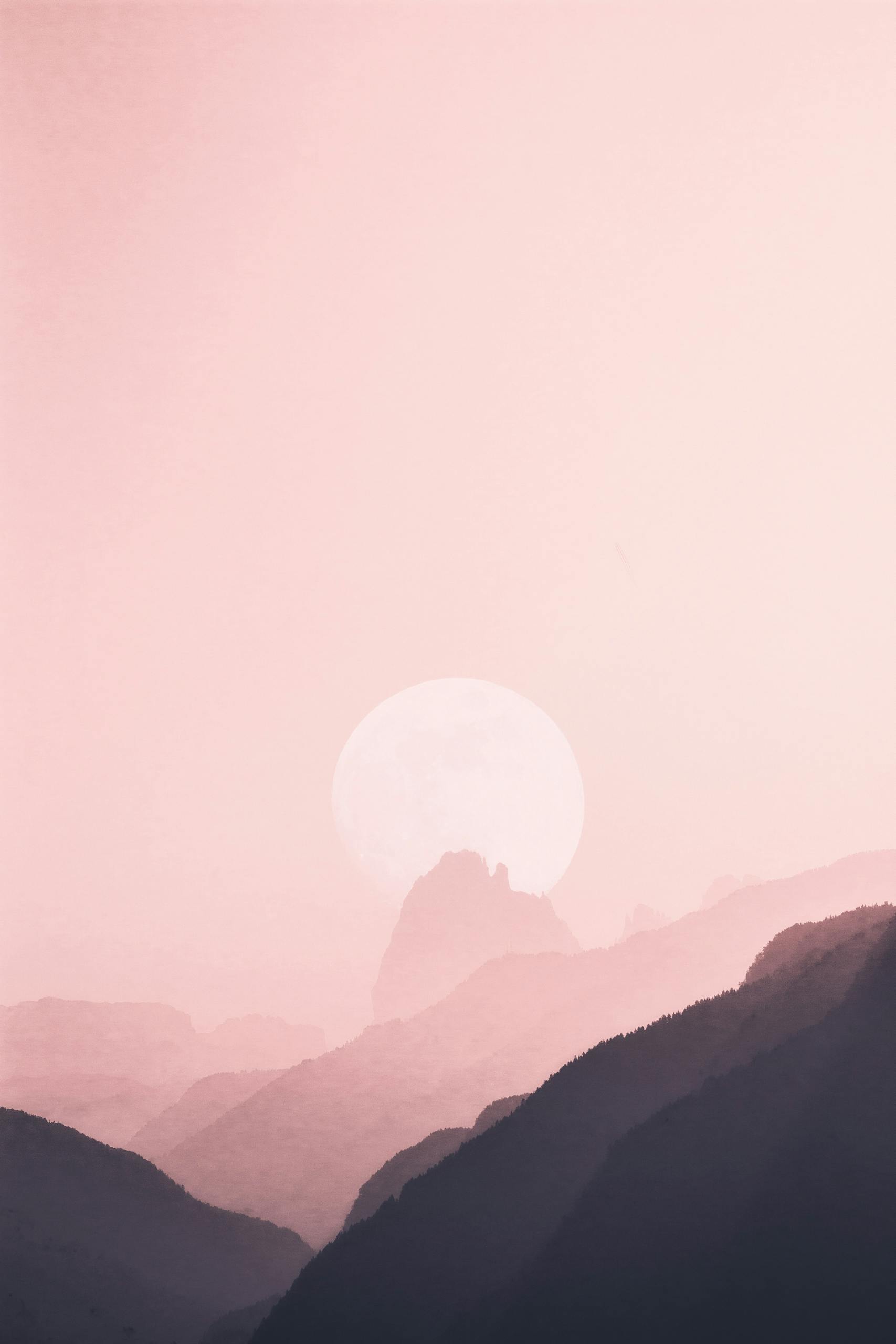 Our Favorite Nature Symbols and What They Mean